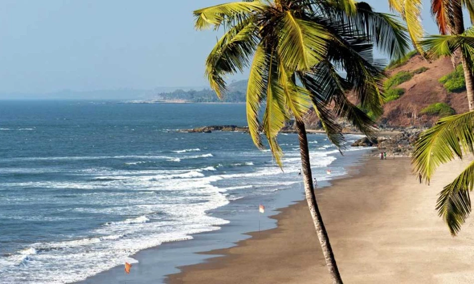 Best 10 Attractions in Morjim
